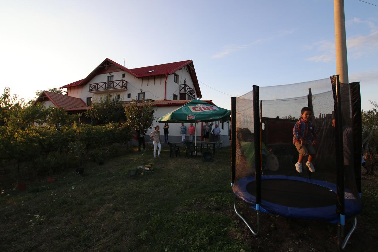 Panorama Cehu Silvaniei Exterior foto